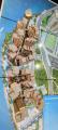 Продажа помещения свободного назначения в Реутове в жилом доме на Носовихинском шоссе ,145 м2,фото-5