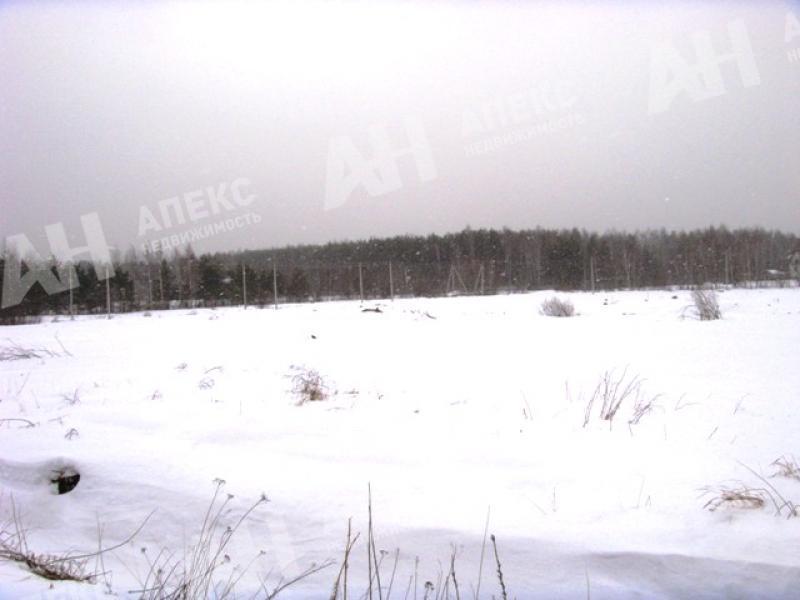 Купить Участок В Донино Раменского Района