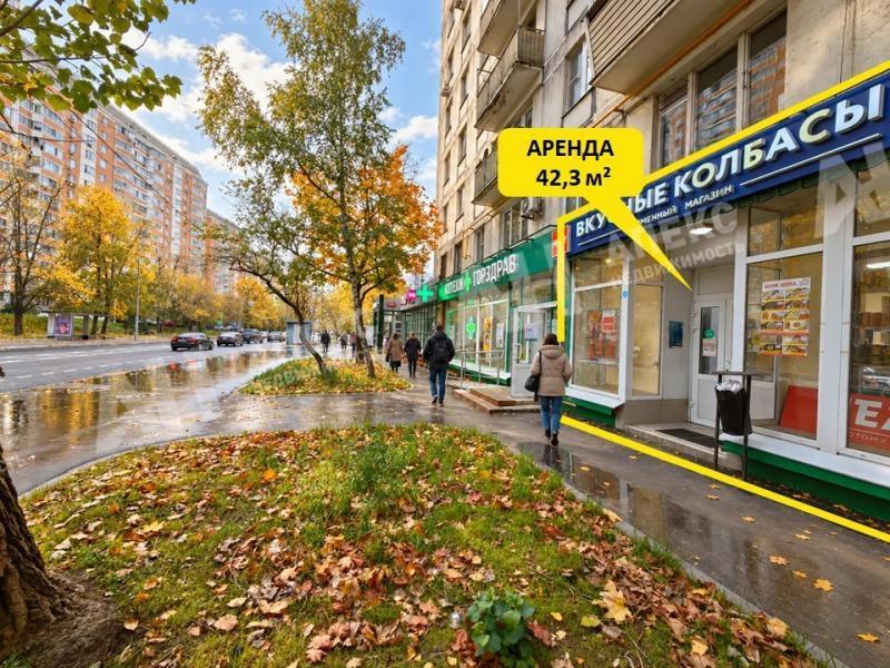 Аренда помещения свободного назначения в Москве в жилом доме на ул 15-я Парковая,м.Щелковская,42.3 м2,фото-1