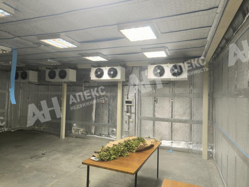 Аренда помещения свободного назначения в Красково Особняк на Егорьевском шоссе ,219 м2,фото-1