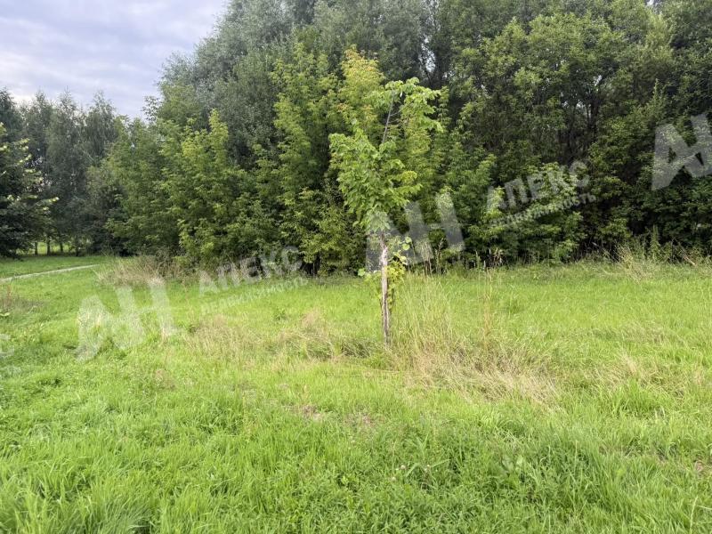 Продажа земельного участка в Воскресенске на Новорязанском шоссе ,3.5 га,фото-1