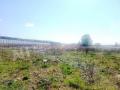 Продажа земельного участка в Воскресенском на Калужском шоссе ,12.6 га,фото-8