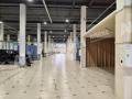 Аренда помещения под производство в Московском на Киевском шоссе ,2545 м2,фото-5