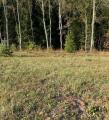 Продажа земельного участка в Обнинске на Киевском шоссе ,0.15 га,фото-4