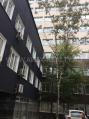 Аренда офиса в Москве в бизнес-центре класса А на ул Орджоникидзе,м.Площадь Гагарина (МЦК),39.3 м2,фото-2