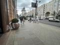 Аренда офиса в Москве в бизнес-центре класса Б на ул Тверская,м.Чеховская ,65.9 м2,фото-3