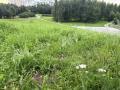 Продажа земельного участка в Домодедово на Каширском шоссе ,152 га,фото-6