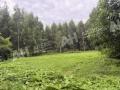 Продажа земельного участка в Воскресенске на Новорязанском шоссе ,3.5 га,фото-4