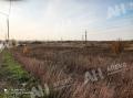 Продажа земельного участка в Жуковском на Новорязанском шоссе ,2.5 га,фото-2