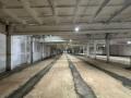 Аренда помещений под склад в Истре на Волоколамском шоссе ,2300 - 4800 м2,фото-2
