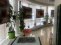 Аренда помещения под офис в Химках в торговом центре на Ленинградском шоссе ,183 м2,фото-3