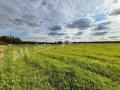 Продажа земельного участка в Климовске на Симферопольском шоссе ,1.15 га,фото-3