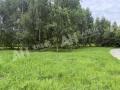 Продажа земельного участка в Воскресенске на Новорязанском шоссе ,3.5 га,фото-2