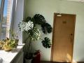 Аренда офиса в Москве Адм. здан. на ул Деловая,м.Кантемировская,36 м2,фото-5