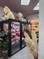 Продажа помещения свободного назначения в Москве в жилом доме на ул Дубининская,м.Павелецкая,110 м2,фото-2