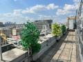 Аренда офиса в Москве в бизнес-центре класса Б на пер Большой Строченовский,м.Павелецкая,454.4 м2,фото-4