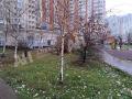 Продажа помещения свободного назначения в Некрасовке Адм. здан. шоссе ,3105.8 м2,фото-2