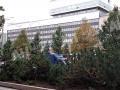 Аренда помещения под офис в Москве в бизнес-центре класса А на Зубовском бульваре,м.Парк культуры,428.1 м2,фото-10
