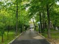 Аренда офиса в Москве Особняк на ул Коновалова,м.Стахановская,740.1 м2,фото-2