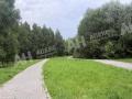 Продажа земельного участка в Домодедово на Каширском шоссе ,152 га,фото-2